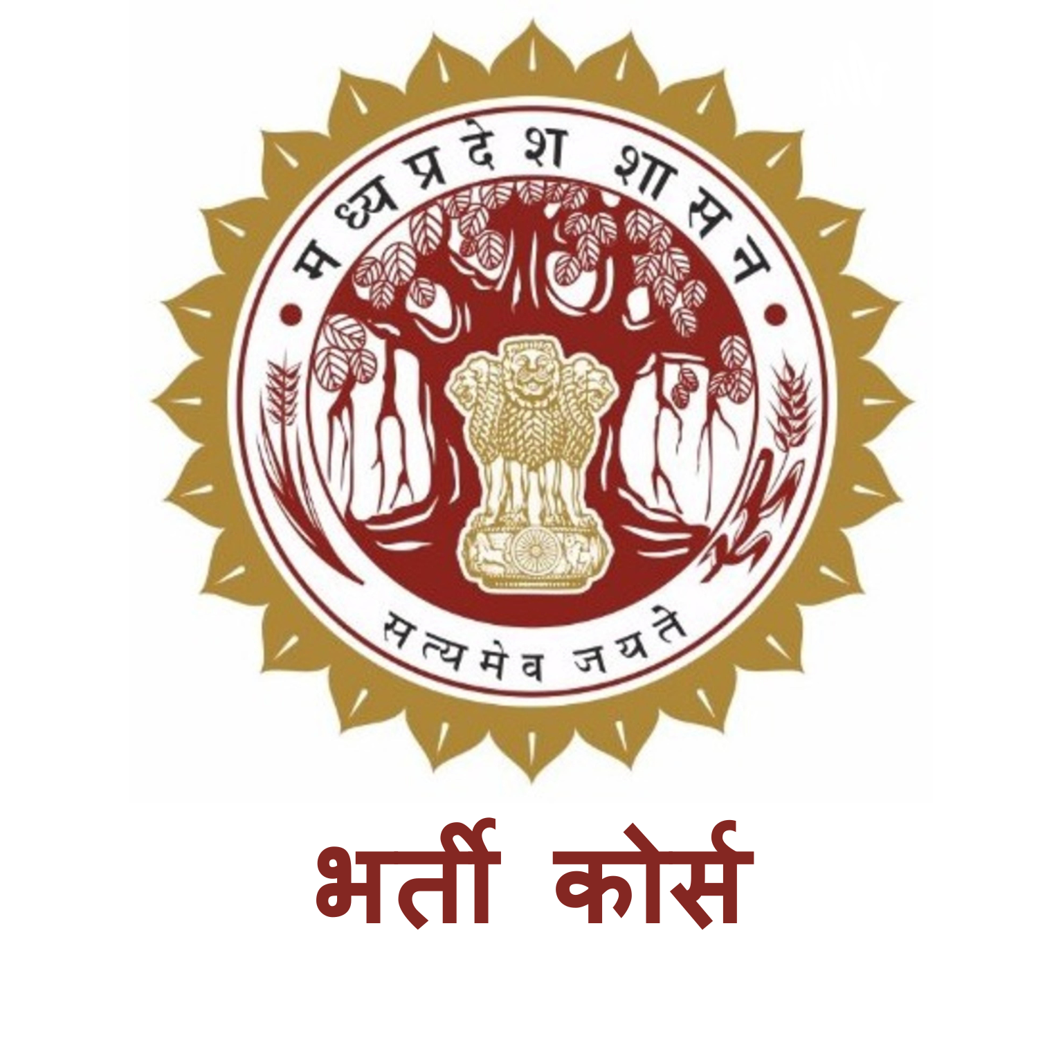 MP Course