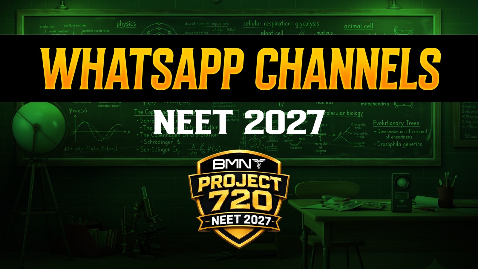 WHATSAPP CHANNEL LINK