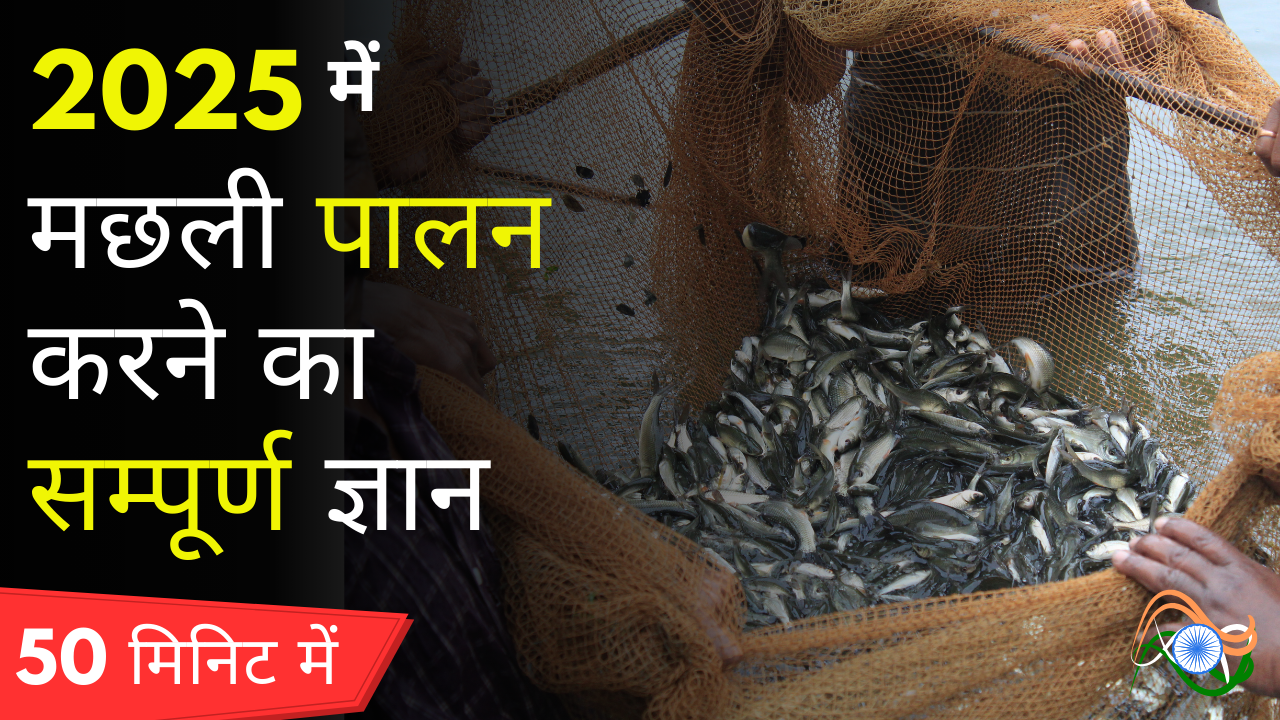 2025 में मछली पालन 