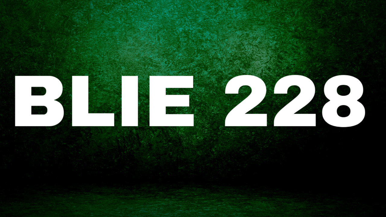 BLIE 228 important notes HINDI AND ENGLISH