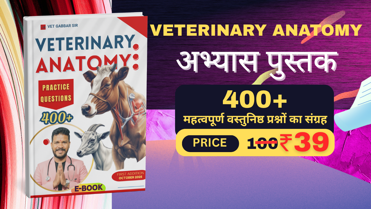 VETERINARY ANATOMY PRACTICE BOOK