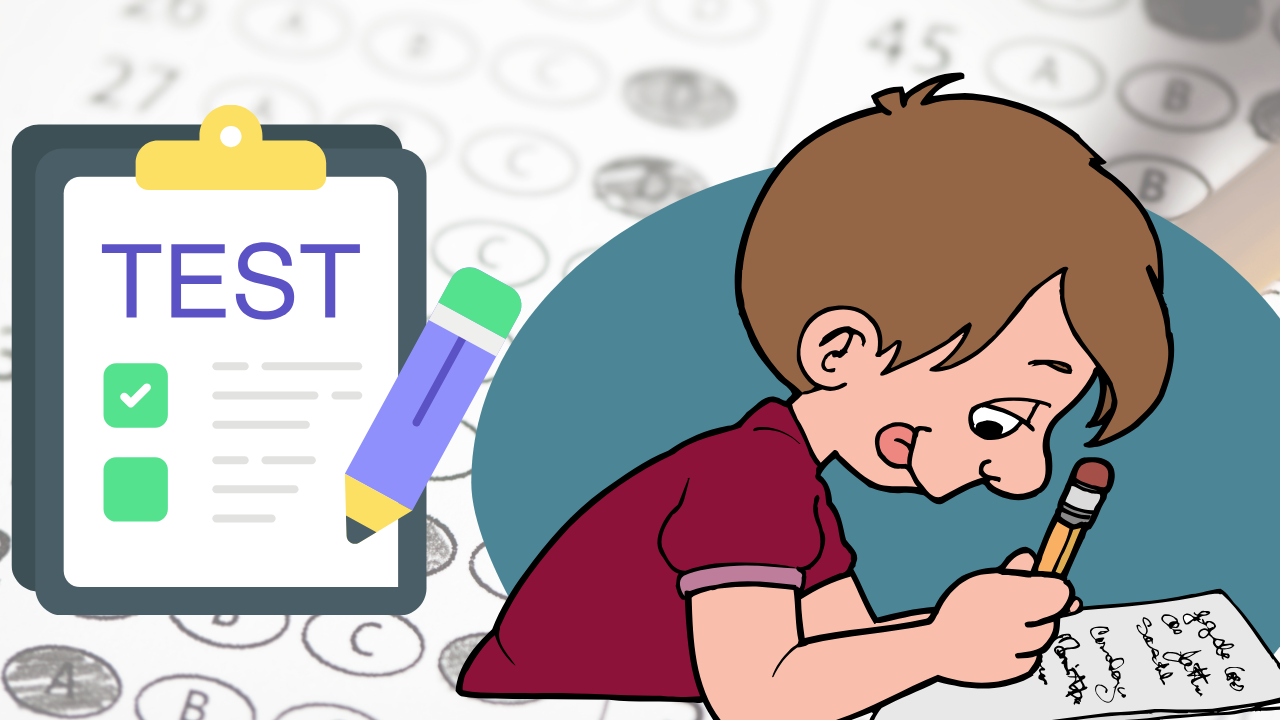 NST MIRROR TEST QUESTION PAPER PDF