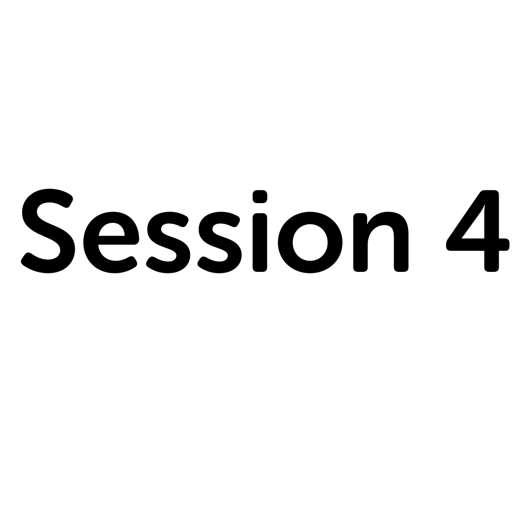 Session 4