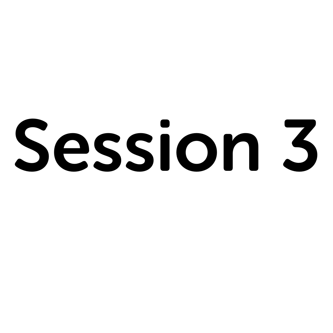 Session 3