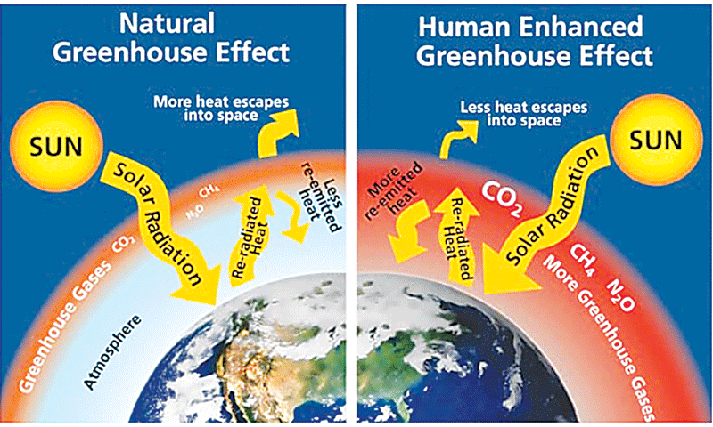 Global Warming 
