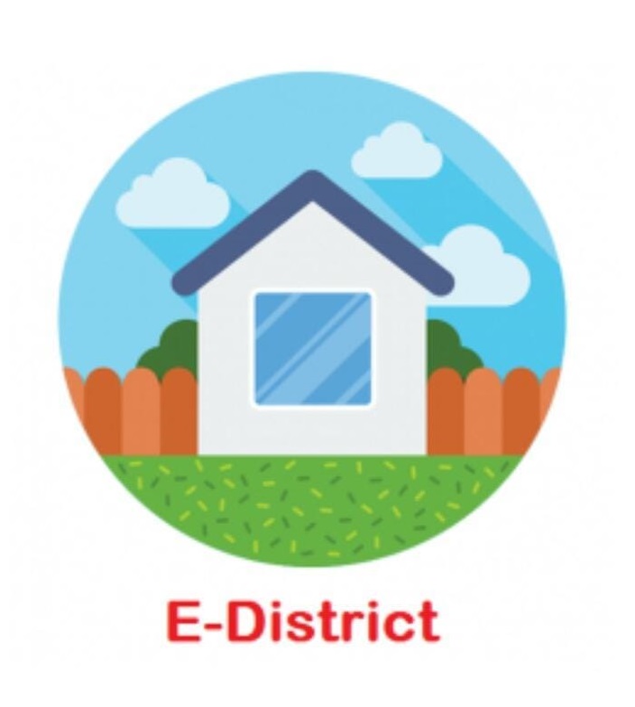 E-District