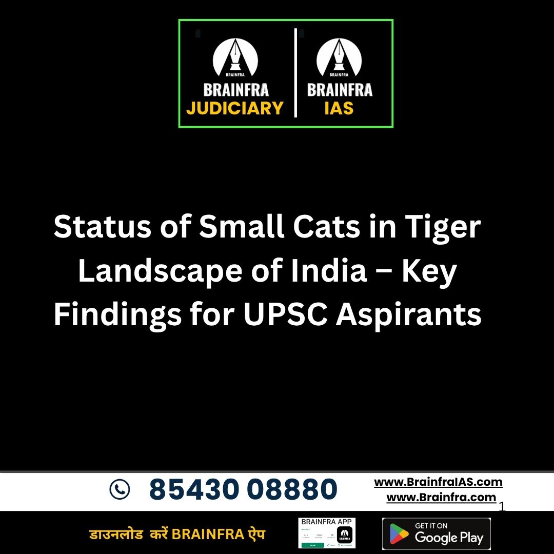 Status of Small Cats in Tiger Landscape of India   brainfra IAS new batch start 