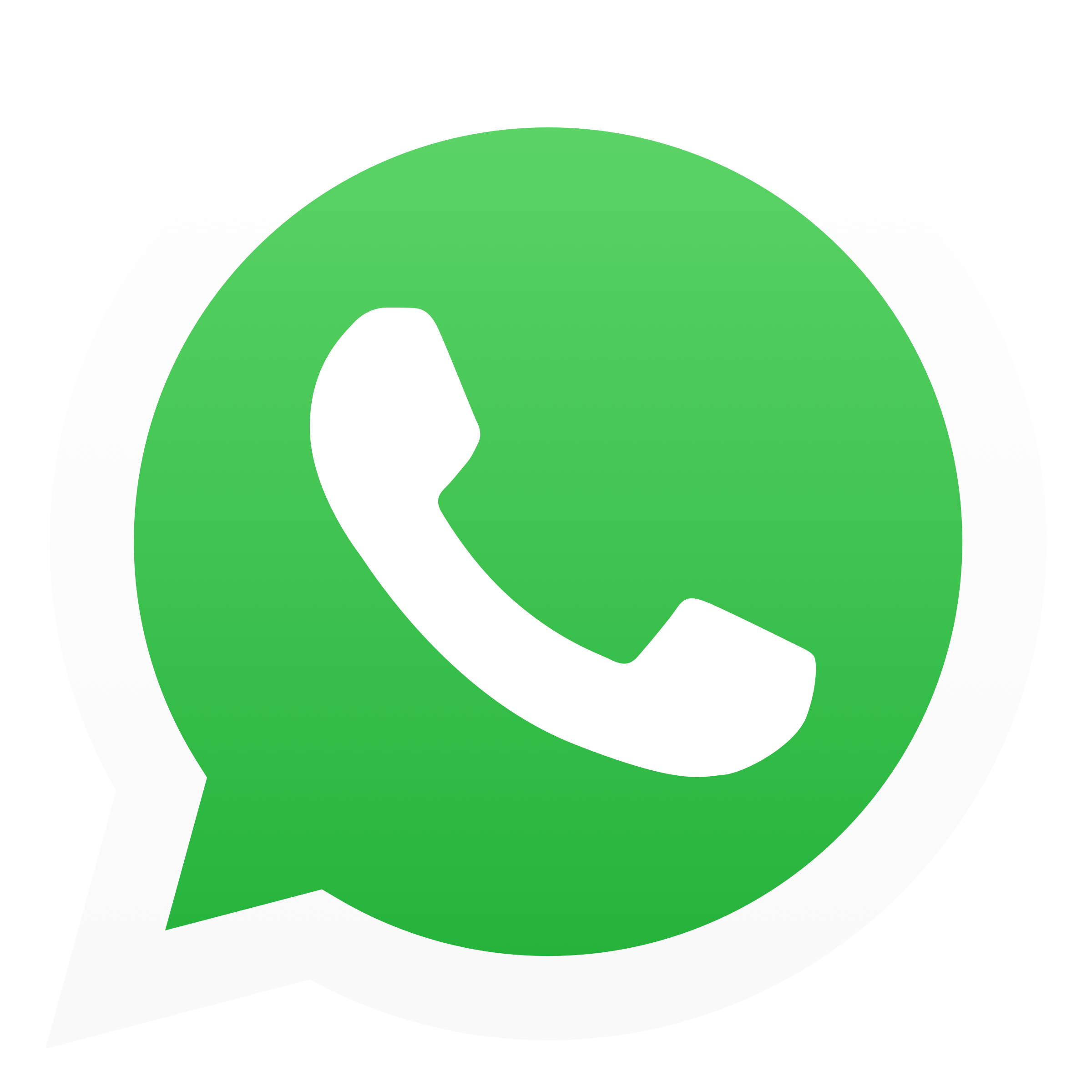 NPG Class 11 WhatsApp Group