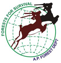  AP FOREST JOBS