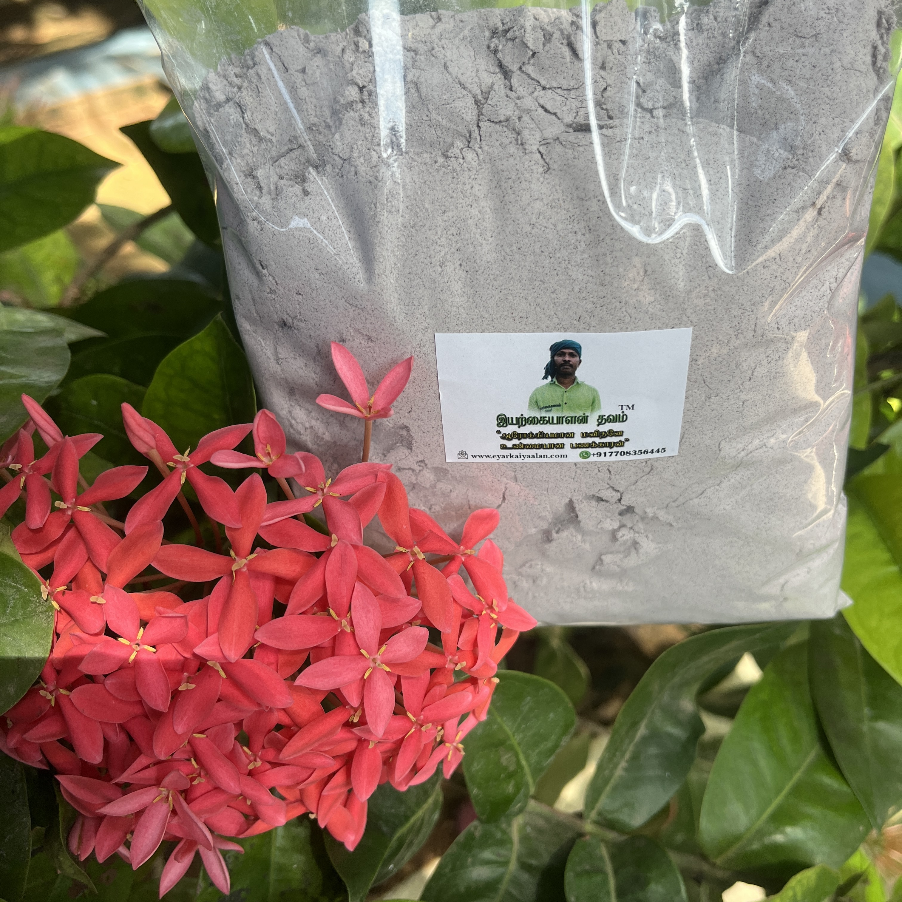 1 Kg மாவு Flour - Karuppu Kavuni | கருப்பு கவுனி | Black Rice