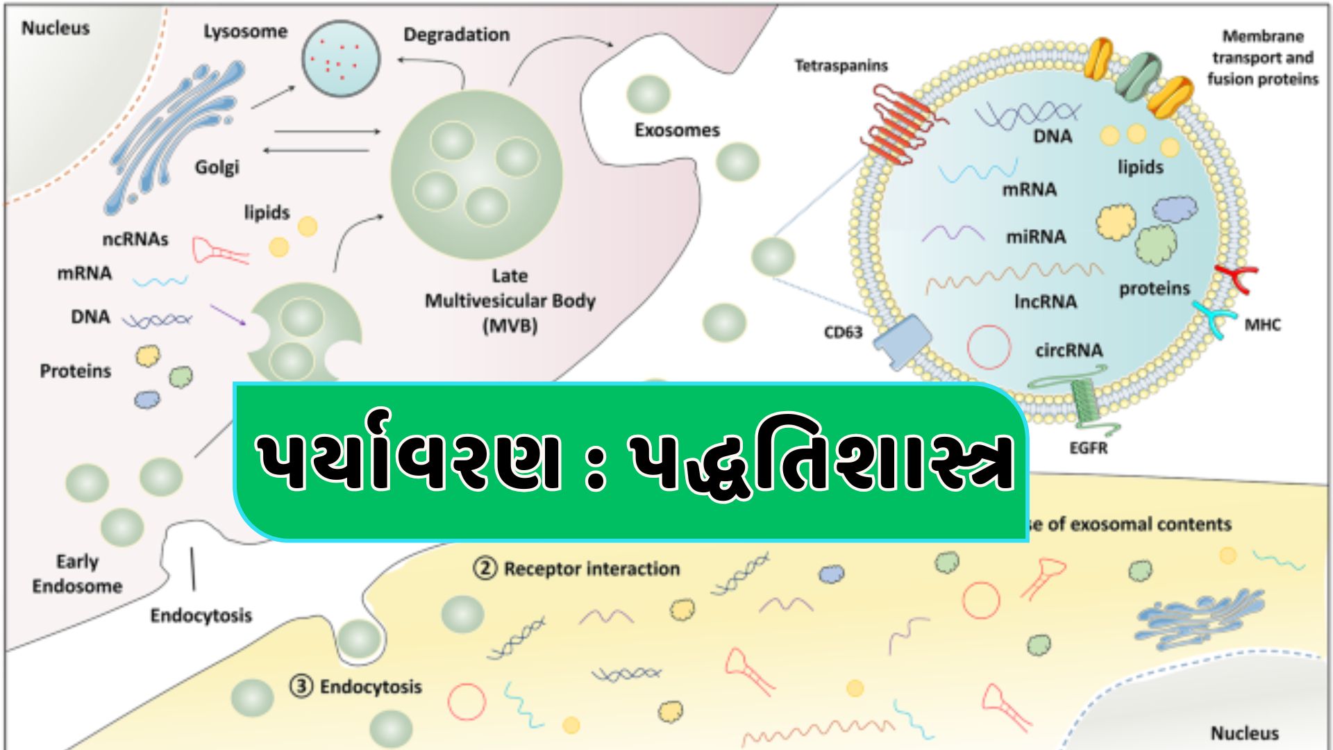 પર્યાવરણ  પદ્ધતિશાસ્ત્ર