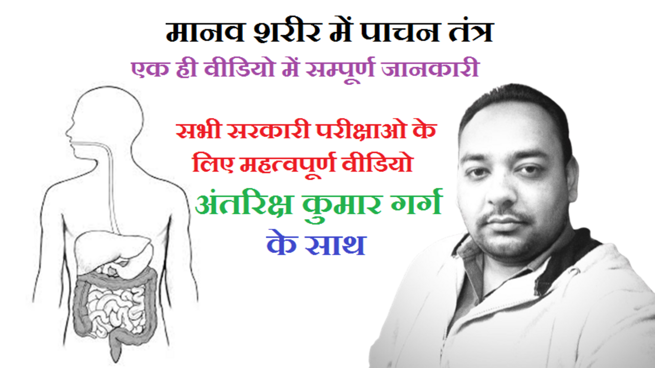 मानव शरीर में पाचन तंत्र 