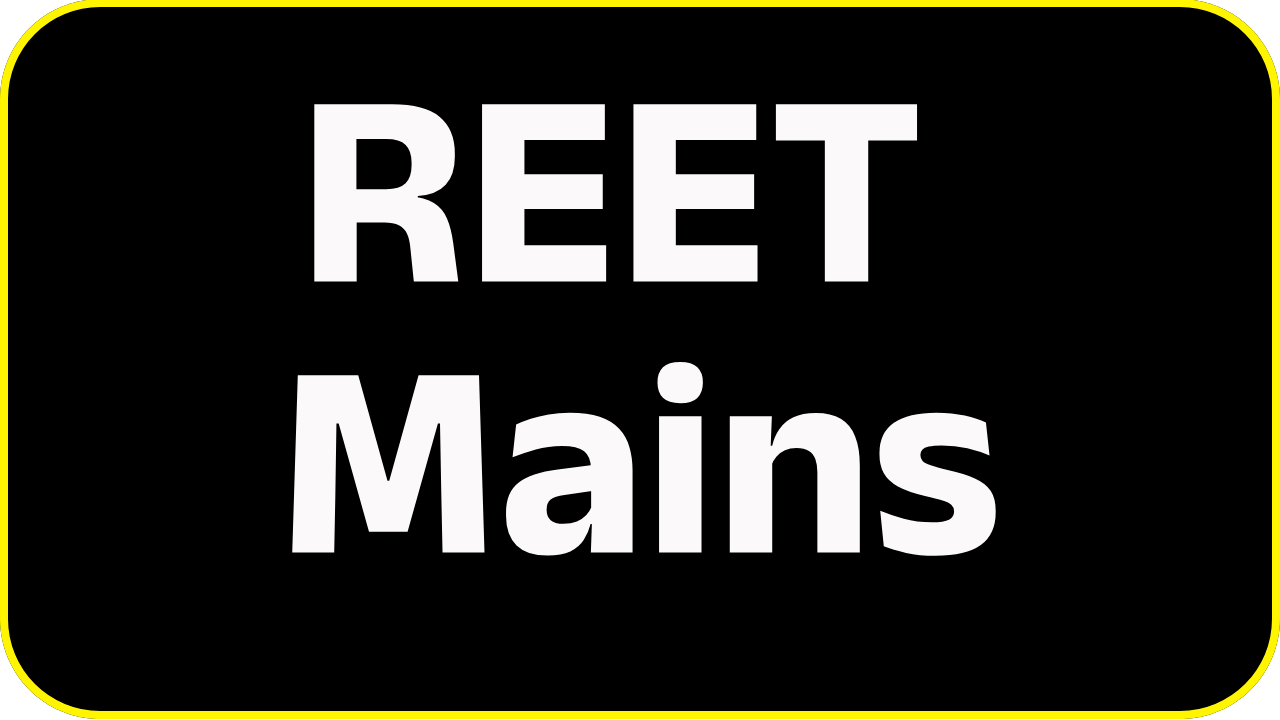 Reet Mains Exam 2025 Test Series