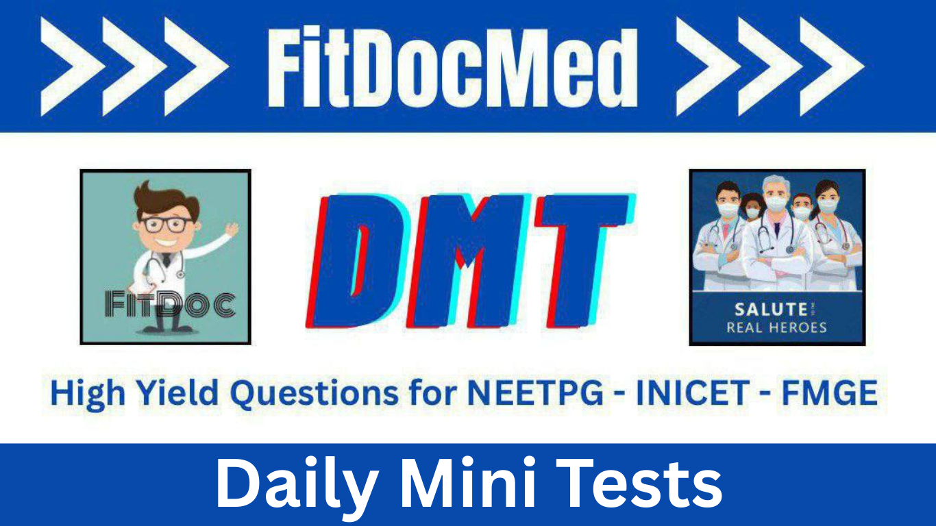 Daily Mini Tests ( DMTs )