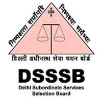 DSSSB PART 1 Original Mock Test