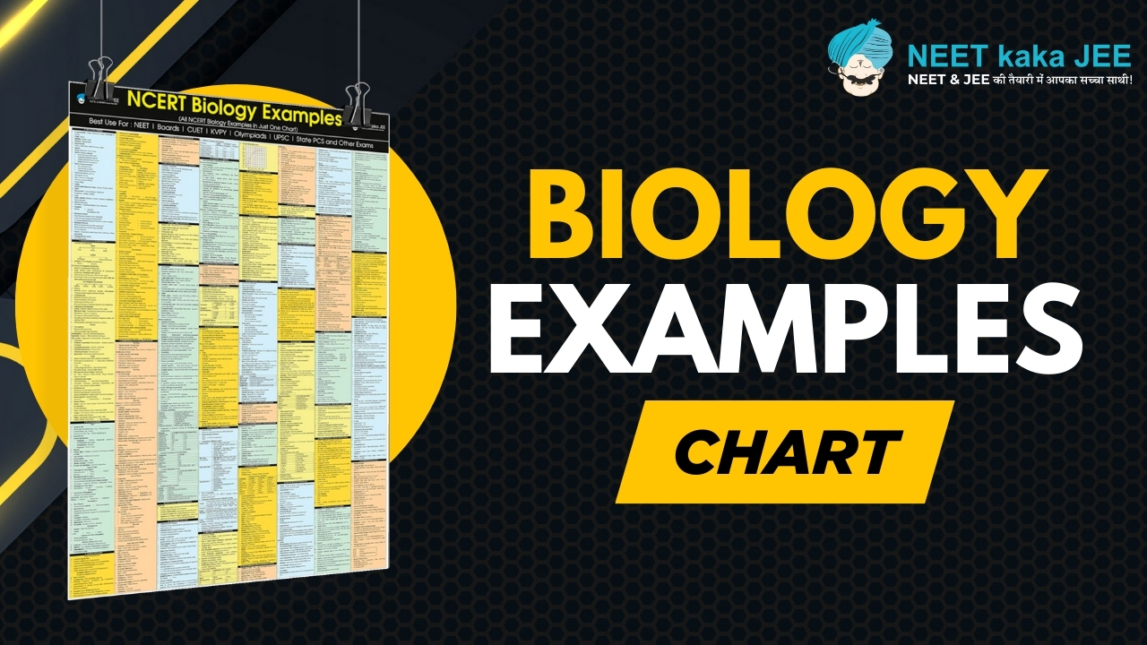 NCERT Biology Chart