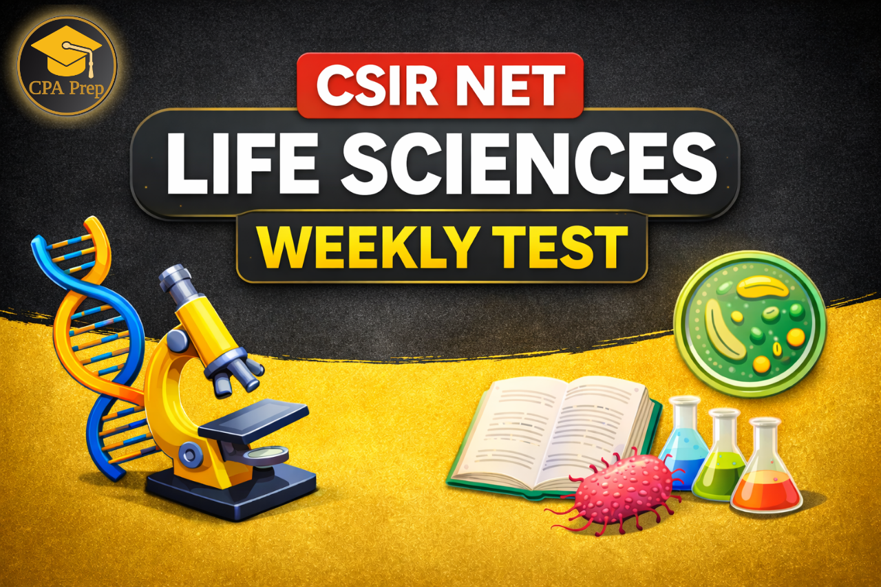 Radiance Batch Class Test