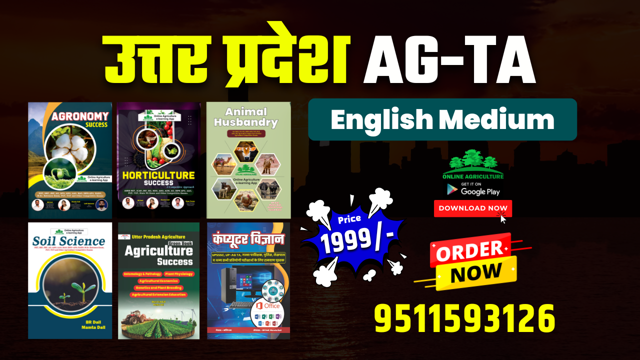 UPSSSC TA (प्राविधिक सहायक) English Complete Study