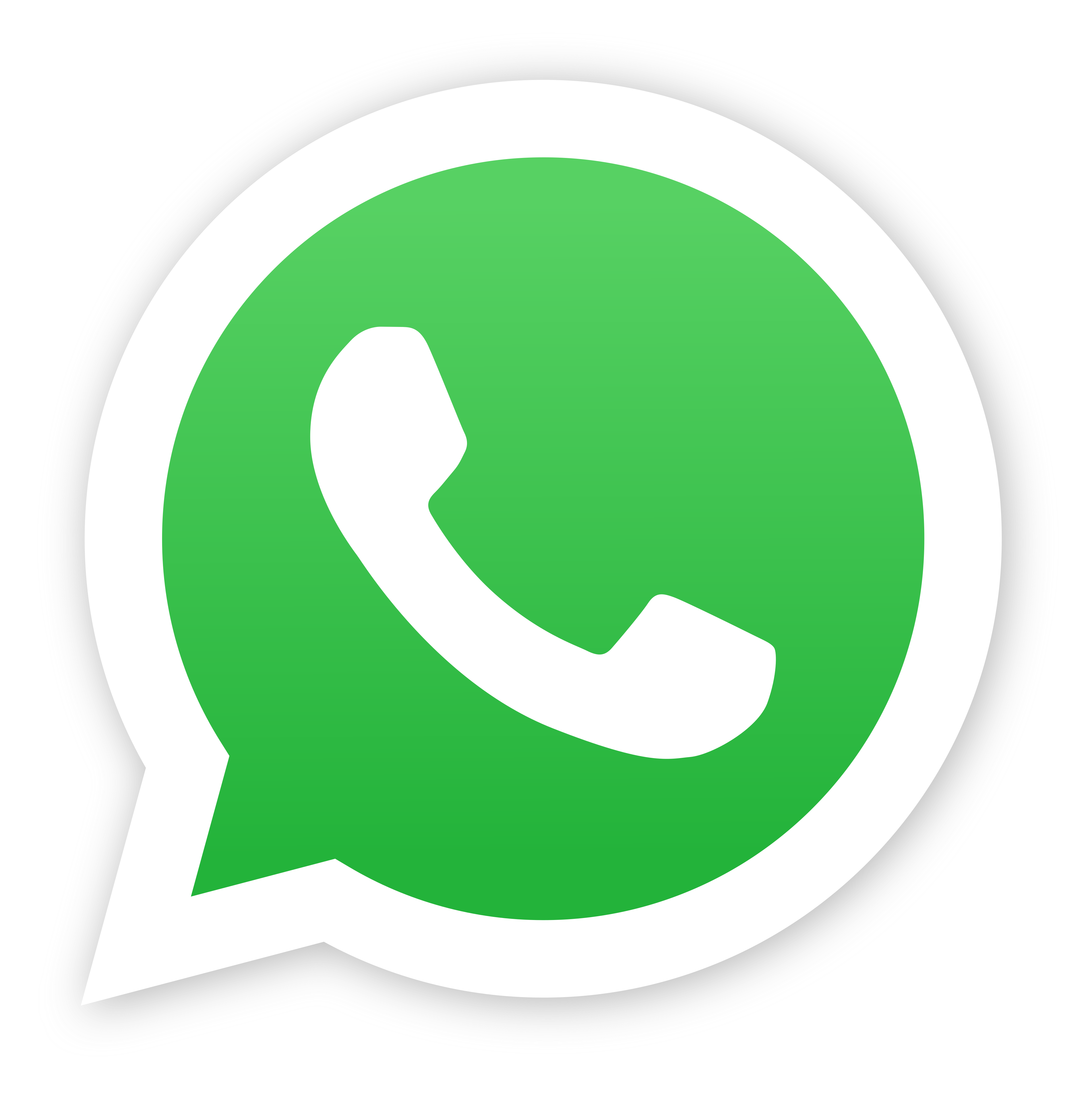 WhatsApp Chat 💬 