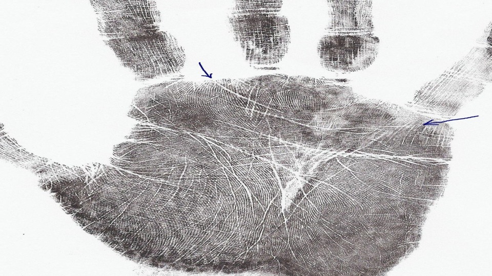 Girdle of Venus ( Shukra Mekhla )