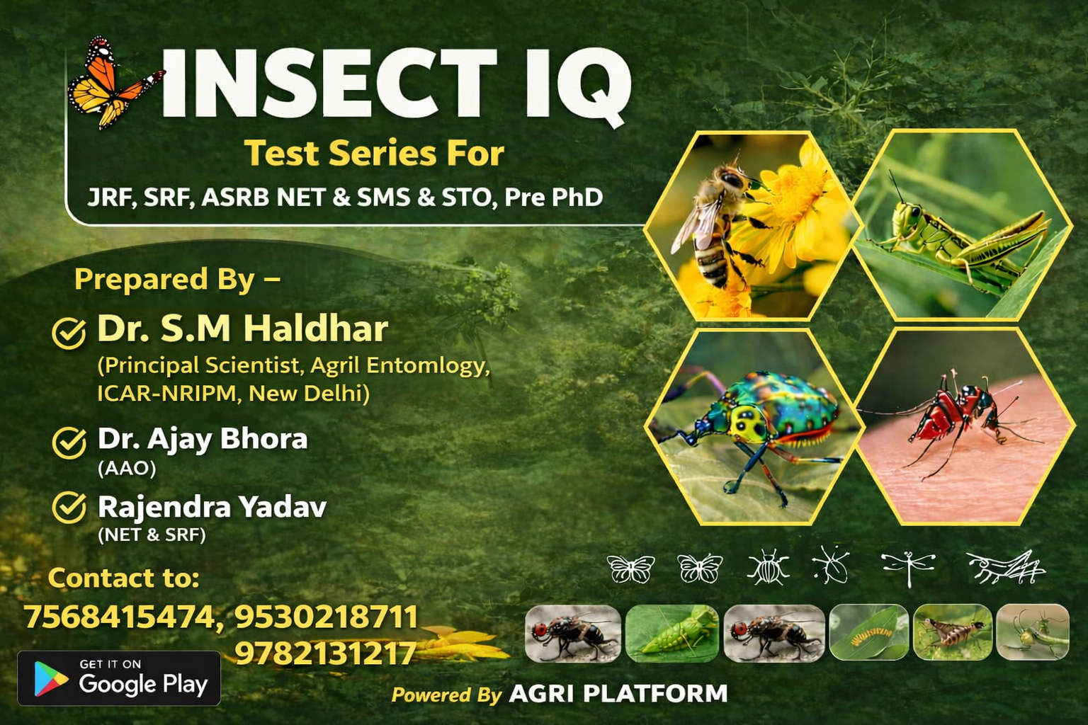 INSECT IQ TEST SERIES