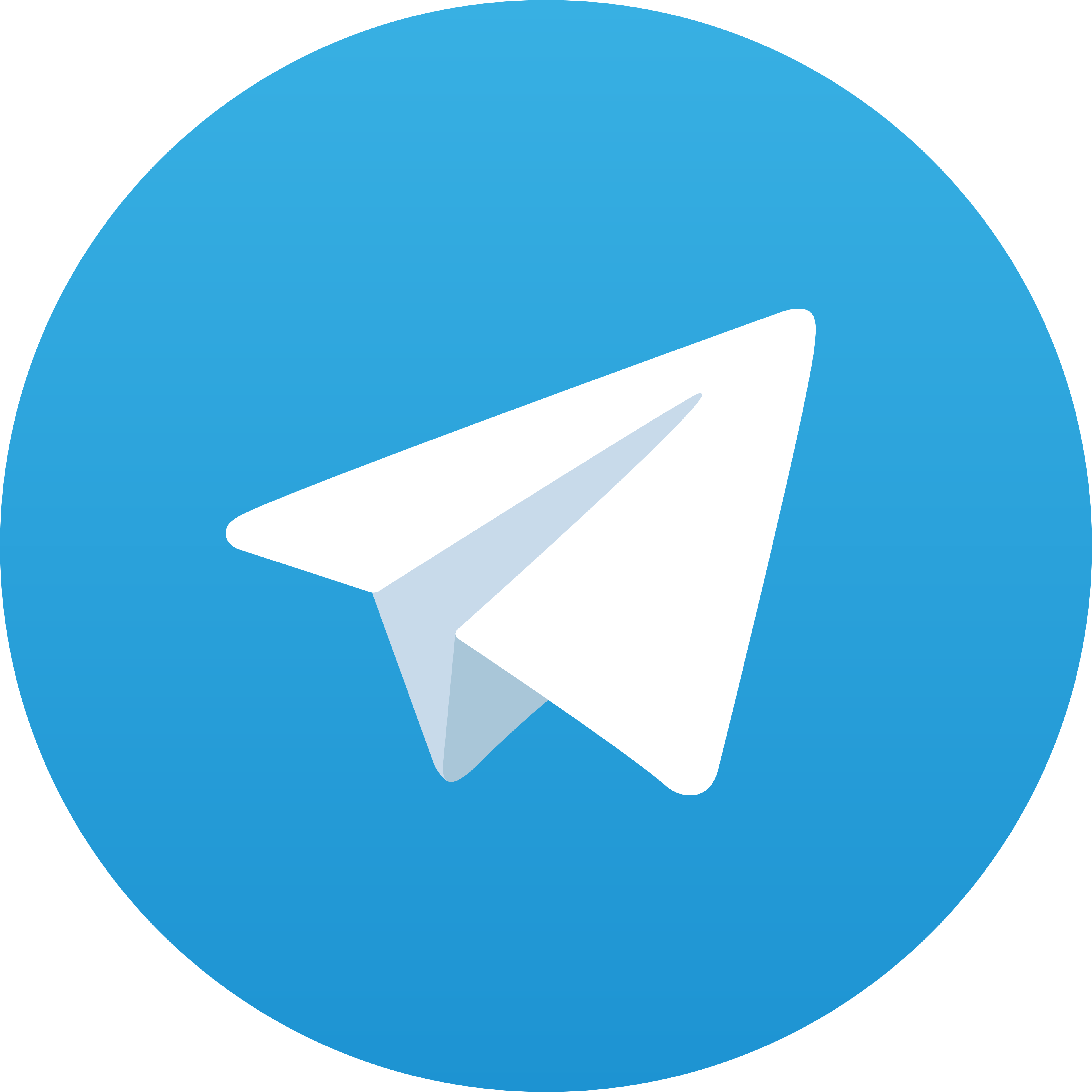 Telegram Channel (Economy)