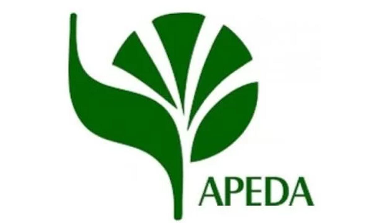  Assistant Manager - APEDA