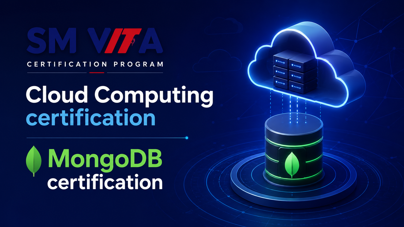 SM VITA Certification Program