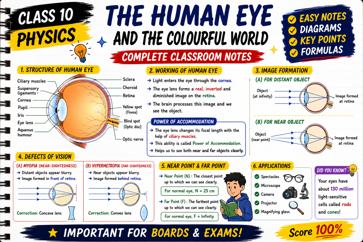 Human Eyes Classroom Notes (Hardcopy)
