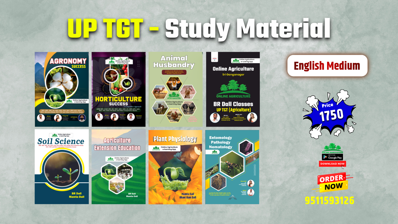 UP TGT English Complete Study