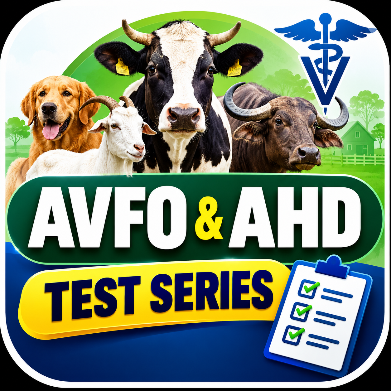 AHD/AVFO Test